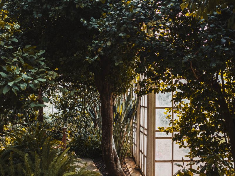 Building Knoll