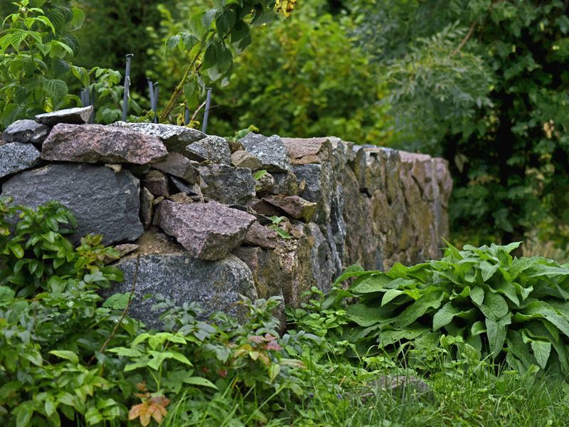 Building Knoll