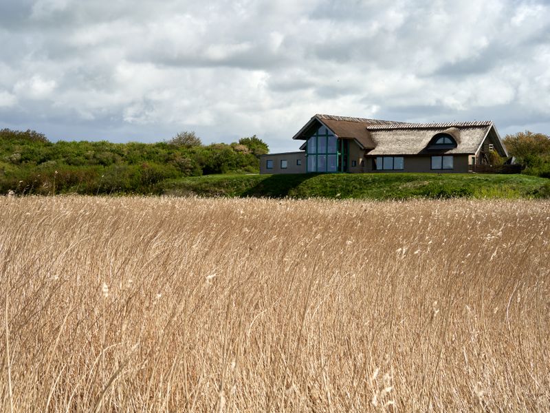 Building Knoll