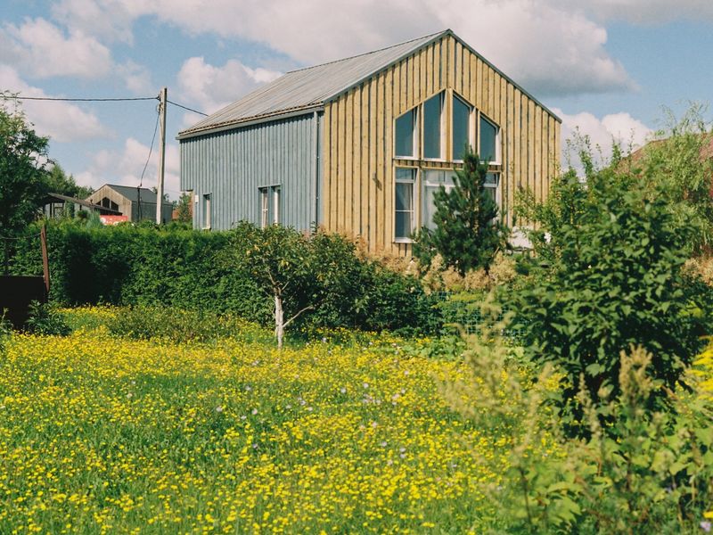 Building Knoll